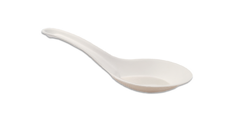 Sugarcane Cutlery - Spoon